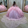 Princess Quinceanera Dresses for Sweet 16 Tulle Lace Appliqued Prom Party Dresses